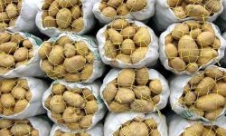 کشف بیش از دو هزار تُن سیب‌زمینی احتکاری در خرم‌آباد