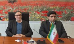 مجتمع کشت و صنعت در دلفان احداث می شود
