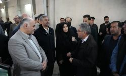احیای سامان کاشی نماد تحقق شعار سال و بازگشت تولید به بروجرد است