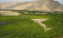 تعیین تکلیف ۵۰۴ هزار هکتار از اراضی غیر ملی در لرستان