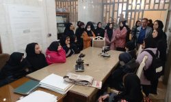 رویدادی ملی برای آشنایی جامعه با دستاوردهای نوین بخش کشاورزی