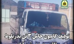 توقیف کامیون حامل ۳ تن بذر بلوط فاقد مجوز در خرم آباد