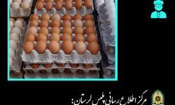 توقیف کامیون حامل ۲ تن تخم‌مرغ فاقد مجوز در الیگودرز