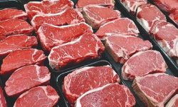 افزایش تصاعدی قیمت گوشت قرمز و سفید در لرستان