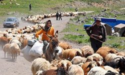 مرمت ۱۱۰ کیلومتر راه عشایری در لرستان