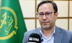 لرستان در جمع سه استان برتر کشور در فروش خوراک آماده دام