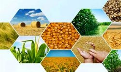 تولید ۱۲۰ هزار میلیارد‌تومانی بخش کشاورزی در لرستان