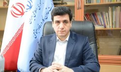 پیگیری تخلفات سبد کالا از طریق اپلیکیشن «شمیم» و سامانه نظارت مردمی