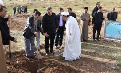 پویش درخت کاری در خرم آباد به مناسبت روز پدر+تصاویر
