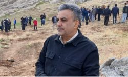 افزایش تولید نهال به ۱۰ میلیون اصله در لرستان