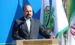 پل «پیوند»؛آغاز معاصرسازی کیو پس از نیم‌قرن