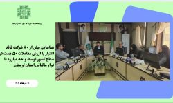 اقدامات هدفمند اداره مبارزه فرار مالیاتی لرستان در صیانت از حقوق مودیان