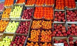 تأمین ۲۵۰ تن میوه شب عید در لرستان