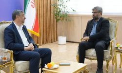 «ایران جان» فرصتی برای معرفی زیبایی‌ها و ظرفیت‌های استان ها است