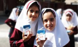 توزیع ۲ میلیون و ۷۰۰ هزار پاکت شیر در مدارس لرستان
