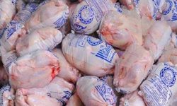 عرضه ۲۲۰۰ تن گوشت مرغ در بازار لرستان