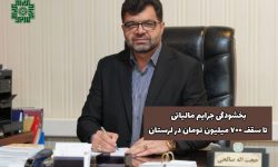 بخشودگی جرایم مالیاتی تا سقف ۷۰۰ میلیون تومان در لرستان