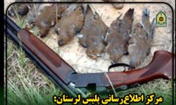 دستگیری شکارچی کبوتران وحشی در سلسله