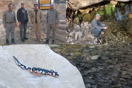 راه‌اندازی پاسگاه محیط‌بانی در زیستگاه‌ «سمندر لرستانی»