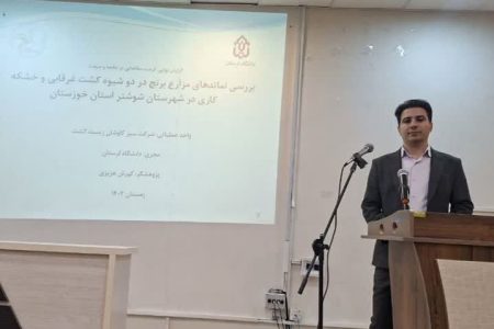 اجرای طرح کاربردی عضو هیئت علمی دانشگاه لرستان در مزارع برنج