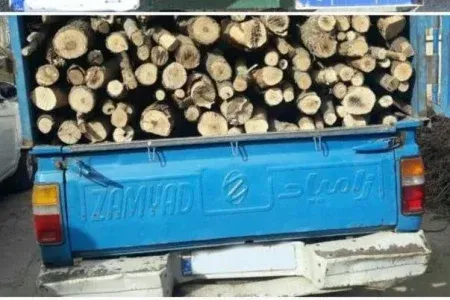 توقیف نیسان حامل ۲ تن چوب قاچاق بلوط در چگنی