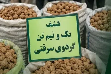 کشف یک ونیم تن محصول سرقتی از باغات گردو سلسله