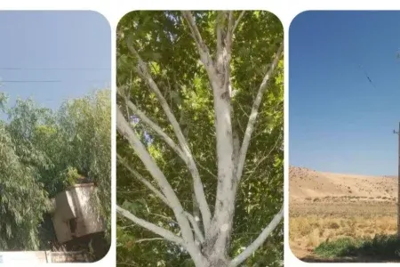 اجرای بیش از ۶۲ کیلومتر شاخه‌زنی شبکه برق لرستان