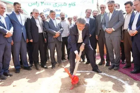 گاوداری ۲هزار رأسی معمولان کلنگ‌زنی شد