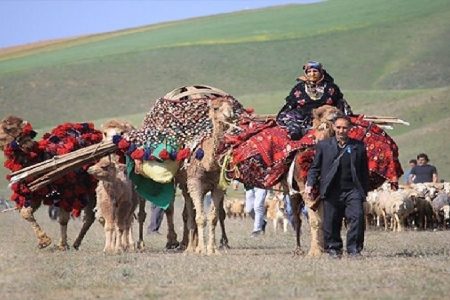 آغاز کوچ ۳۲۰۰ خانوار عشایری خرم‌آباد به مناطق قشلاقی
