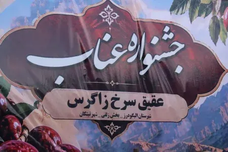 برگزاری نخستین جشنواره عناب در الیگودرز