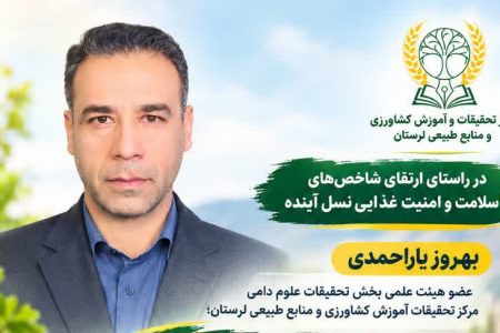 تخم‌مرغ؛گنجینه‌ای مغذی برای ارتقای سلامت جامعه