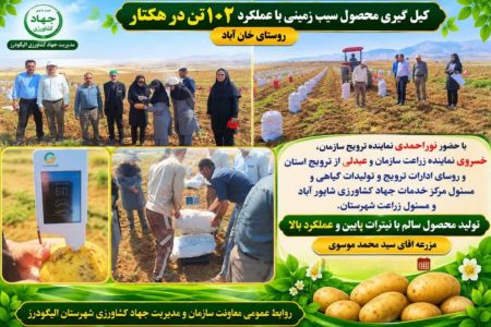 رکوردشکنی کشاورز الیگودرزی با تولید ۱۰۲ تن سیبزمینی در هکتار