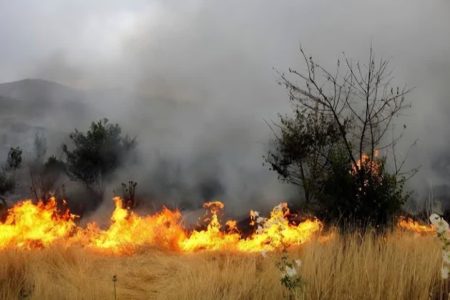 لرستان جزو سه استان برتر کشور در پیشگیری و اطفای حریق