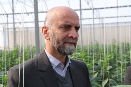 بهره برداری از ۸ هکتار گلخانه دهه فجر در لرستان