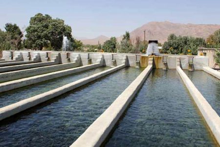 آغاز ساخت مزرعه بزرگ پرورش ماهیان خاویاری در چگنی