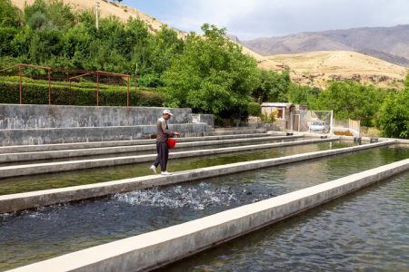 بهره‌برداری از سایت نمونه کشوری پرورش ماهیان سردآبی در لرستان