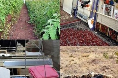 پرداخت ۲ هزار و ۵۰۰ فقره تسهیلات اشتغال در لرستان