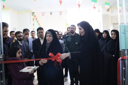 نمایشگاه دستاوردهای هنرمندان شهرستان سلسله افتتاح شد+تصاویر