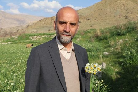 تولید ۱۸ میلیون شاخه گل نرگس در لرستان