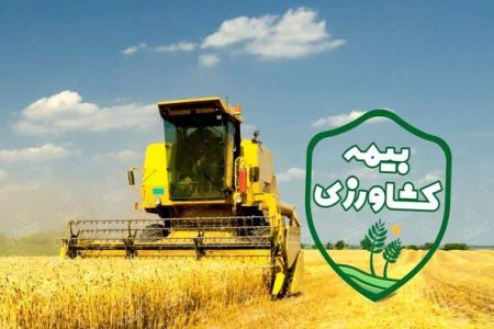 اجرای بیمه اجباری گندم و دانه‌های روغنی در سال زراعی جاری