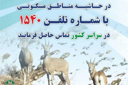 اطلاعیه محیط زیست لرستان در صورت مشاهده حیات وحش