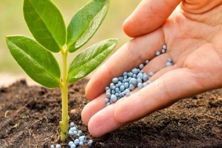 توزیع ۸۰ درصد کودشیمیایی بین کشاورزان لرستانی