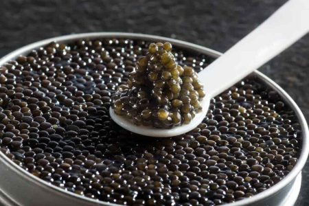 تولید سالانه یک تن خاویار در لرستان