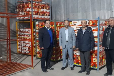 توزیع خرمای تنظیم بازار ویژه ماه رمضان در لرستان