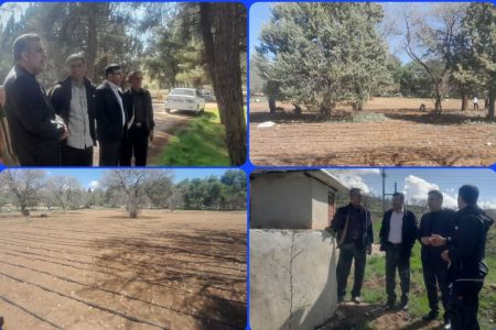 کاشت یک میلیون اصله درخت در نهالستان «شوراب»