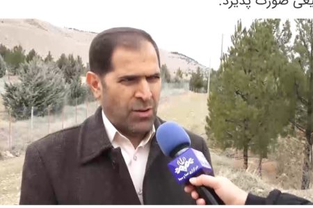 آغاز یک انقلاب سبز با کاشت یک میلیارد درخت در کشور