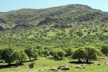 عرصه‌های طبیعی در لرستان پایش می‌شوند