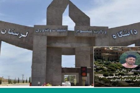 عضو هیئت علمی دانشگاه لرستان برگزیده جایزه استادیاران جوان شد