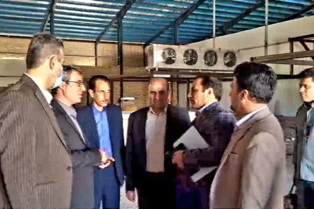 همت کارآفرین خرم آبادی در تکمیل زنجیره تولید گوشت مرغ