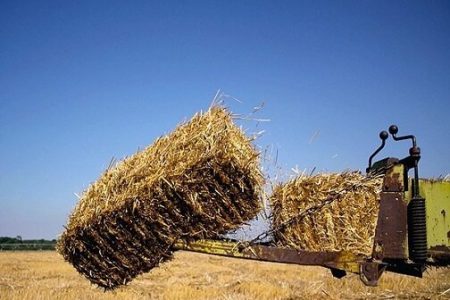 توزیع ۳ هزار تن علوفه دامی در لرستان